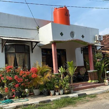 Owl Hostel Karimunjawa Ngoại thất bức ảnh
