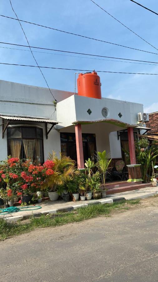 Owl Hostel Karimunjawa Ngoại thất bức ảnh